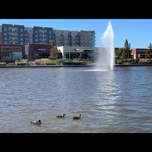 Meet your Posher, Mayte